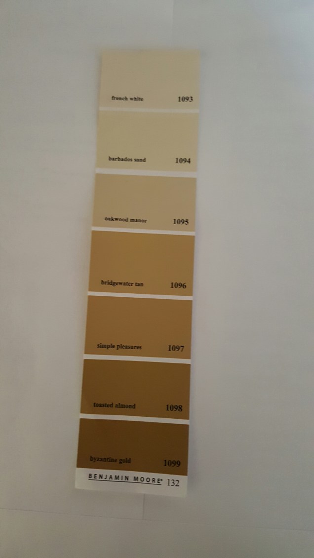 wp-1459785838962 image